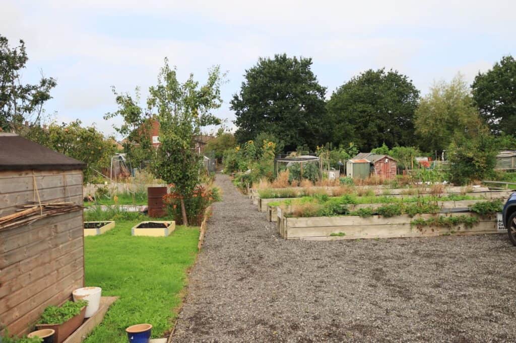 A beautiful community garden in England with raised beds and lush greenery.