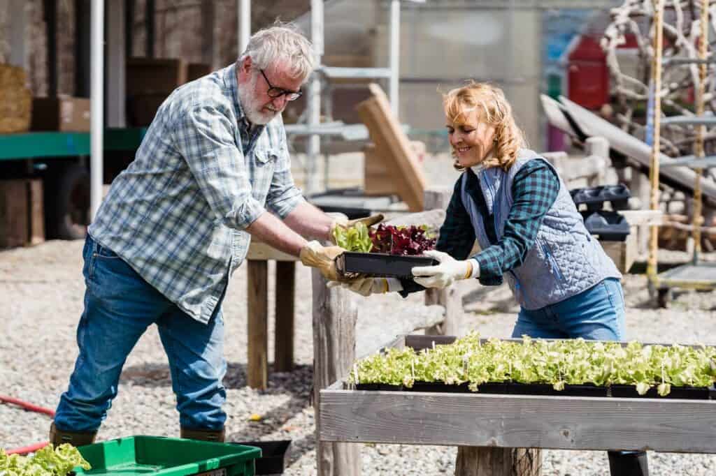 Senior couple engaging in gardening, sharing plants and enjoying the outdoors.