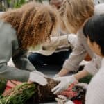 A group of diverse adults collaborating on a gardening project outdoors, focusing on plant care.